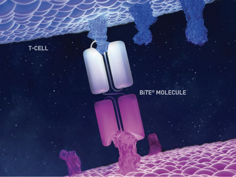 The ideal combination partner for BiTE therapy