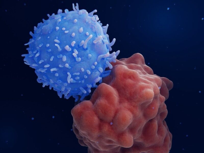 CAR T-cells targeting