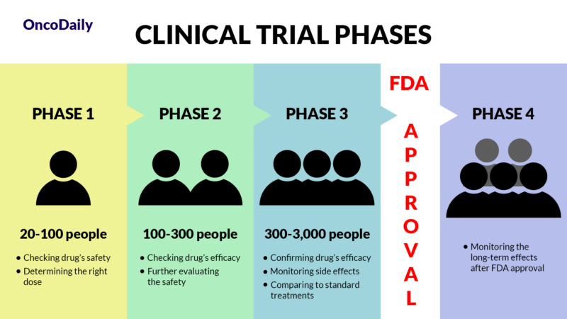 Clinical Trial Phases