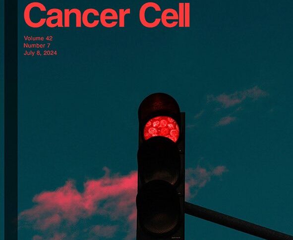Tumor extracellular vesicles and more in the July issue of Cancer Cell