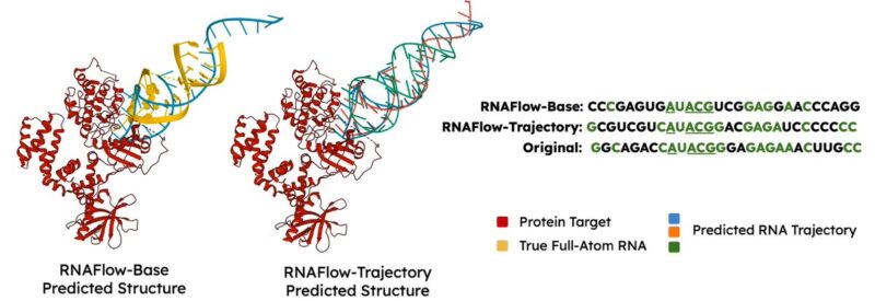 Divya Nori: Introducing RNAFlow