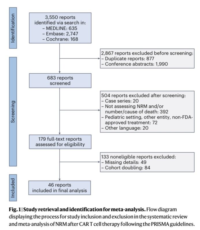 Kai Rejeski: Underestimated aspect of CAR T-cell therapy: non-relapse mortality