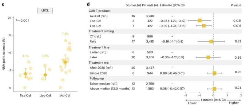 Kai Rejeski: Underestimated aspect of CAR T-cell therapy: non-relapse mortality