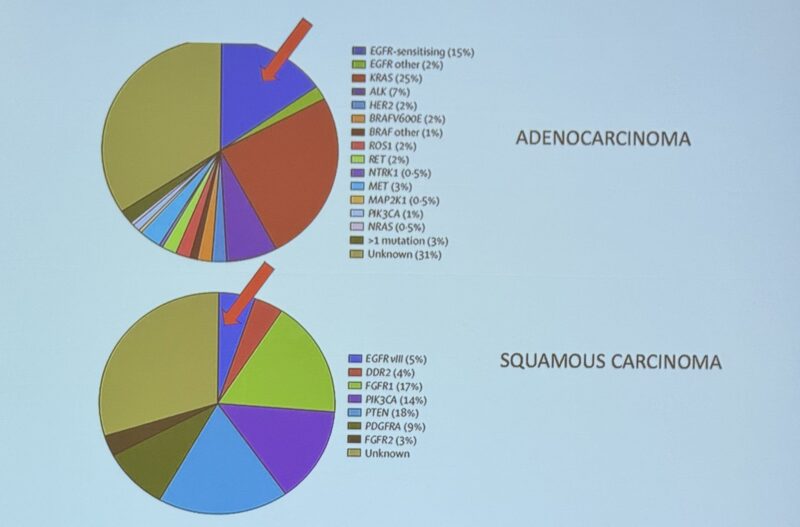 Wafik El-Deiry about DAVA Oncology 3rd Global Thoracic Malignancies Summit