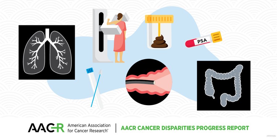 AACR Cancer Disparities Report