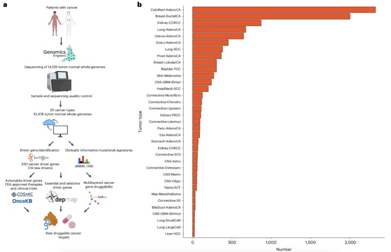 Simona Cristea: Analysis of Whole Genome Sequencing data on 10,478 cancer patients identifies 74 new drivers