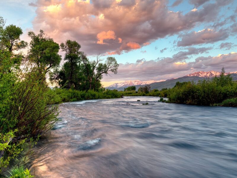 Mark Lewis: No man ever steps in the same river twice