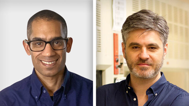 A new potential biomarker and therapeutic target for lung and other cancers – University Health Network