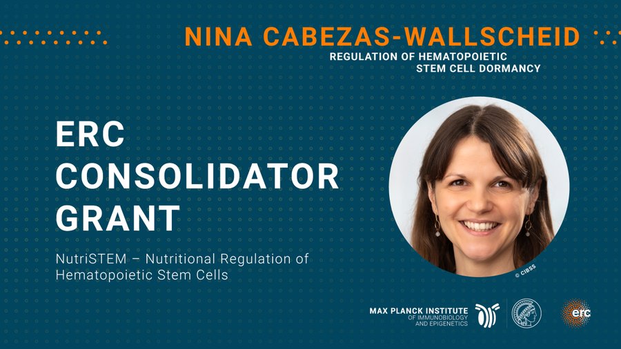 Nina Cabezas-Wallscheid was awarded the European Research Council Consolidator Grant