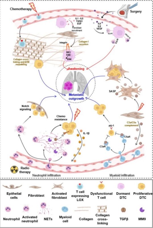 Cancer treatments