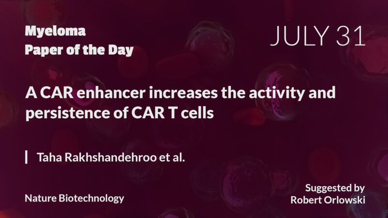 Myeloma Paper of the Day, July 31st, suggested by Robert Orlowski