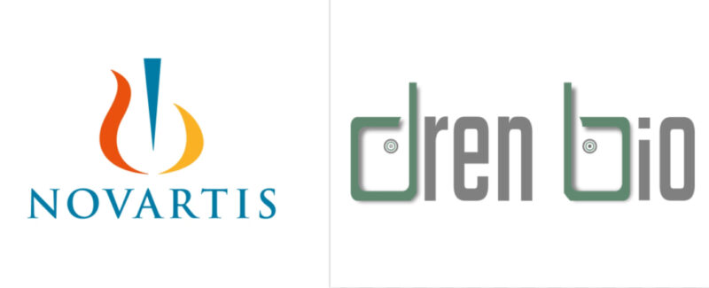 Novartis collaborates with Dren Bio to discover and advance novel antibody-based immune cell engagers