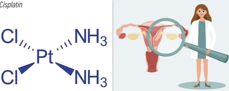 David S. Miller: Why Cisplatin should not be added to radiotherapy for certain recurrent Endometrial Cancer