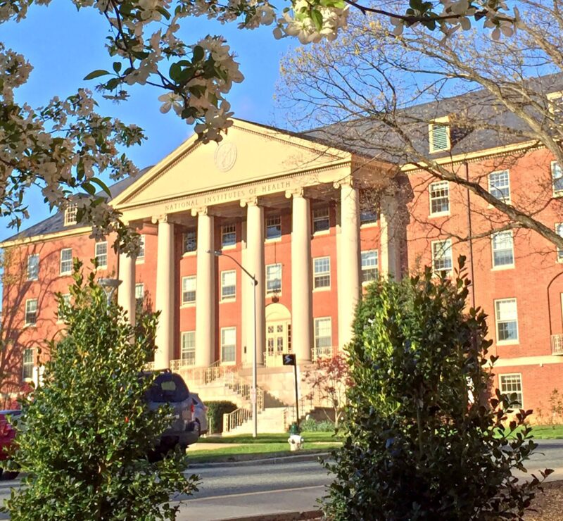 NCI is hiring a senior scientist to serve as Director for the OCC