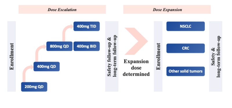 Glecirasib: A Promising Novel KRAS G12C Inhibitor in Clinical Development