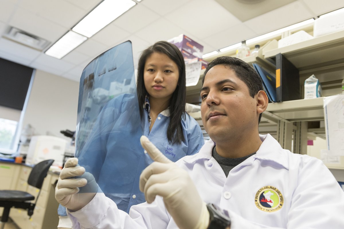 Apply for Rutgers Health postdoc experience to launch your career