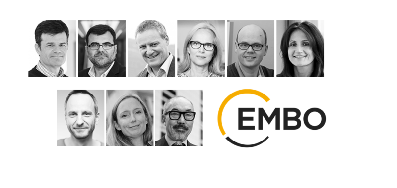 Outstanding scientists elected to EMBO Membership