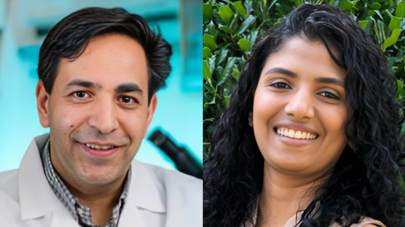 Rizwan Romee: CAR memory–like NK cells in ovarian cancer