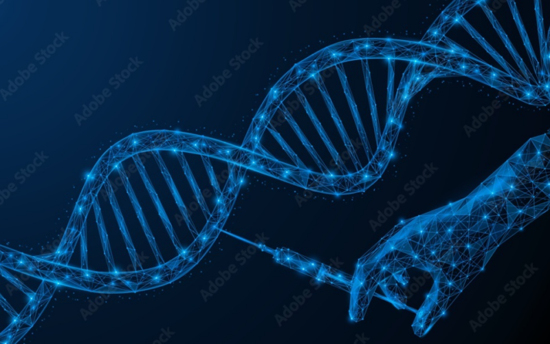 Michael Wang: Strong antitumor synergy between venetoclax and A1155463