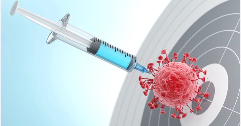 An update on the development of HER2-targeted therapies