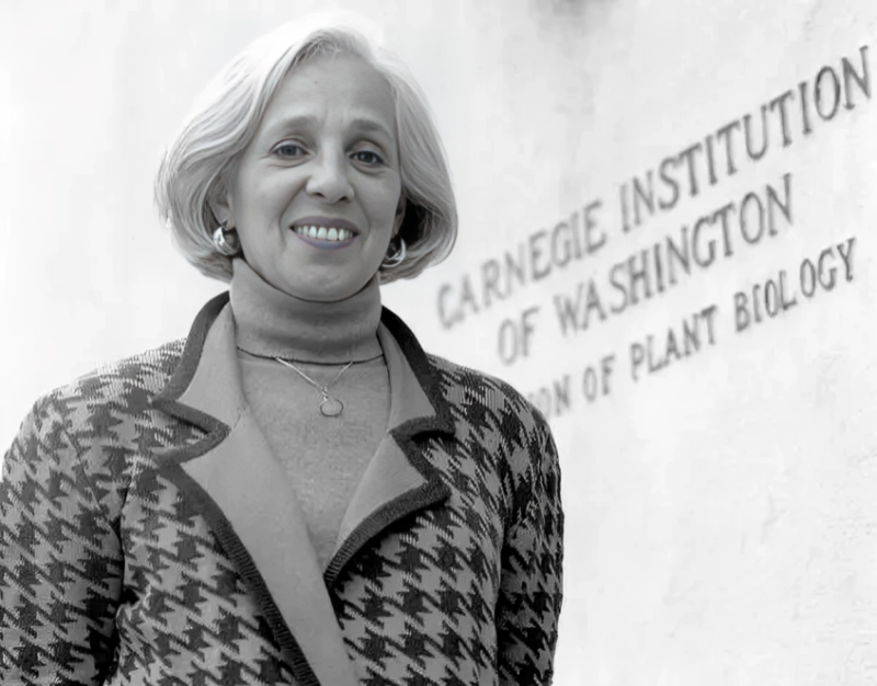 U.S. Biochemist Maxine Singer has died aged 93