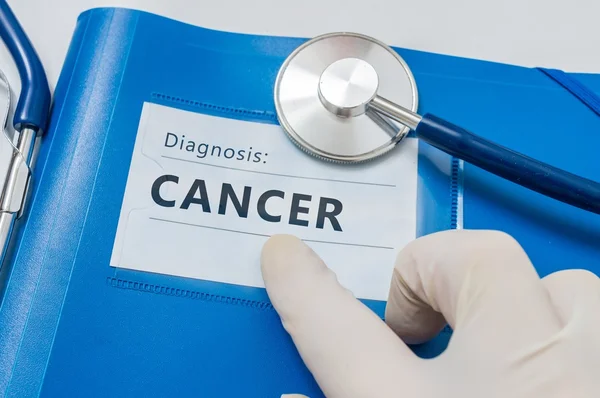 A cancer diagnosis marks the beginning of a journey that goes far beyond physical impact – IEO
