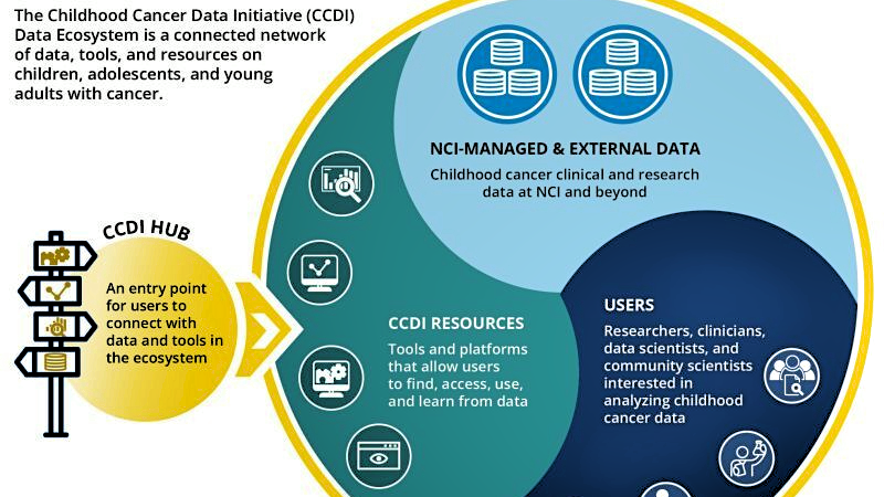 Access pediatric cancer research datasets and resources through Childhood Cancer Data Initiative Hub – National Cancer Institute