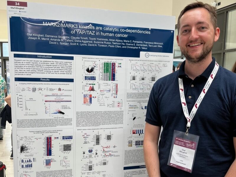 MARK2/MARK3 Kinases Are Catalytic Co-dependencies of YAP/TAZ in Human Cancer