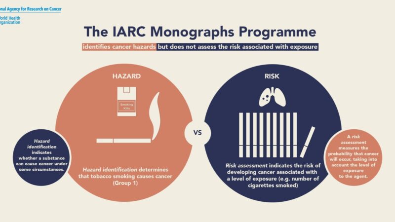 IARC Monographs programme