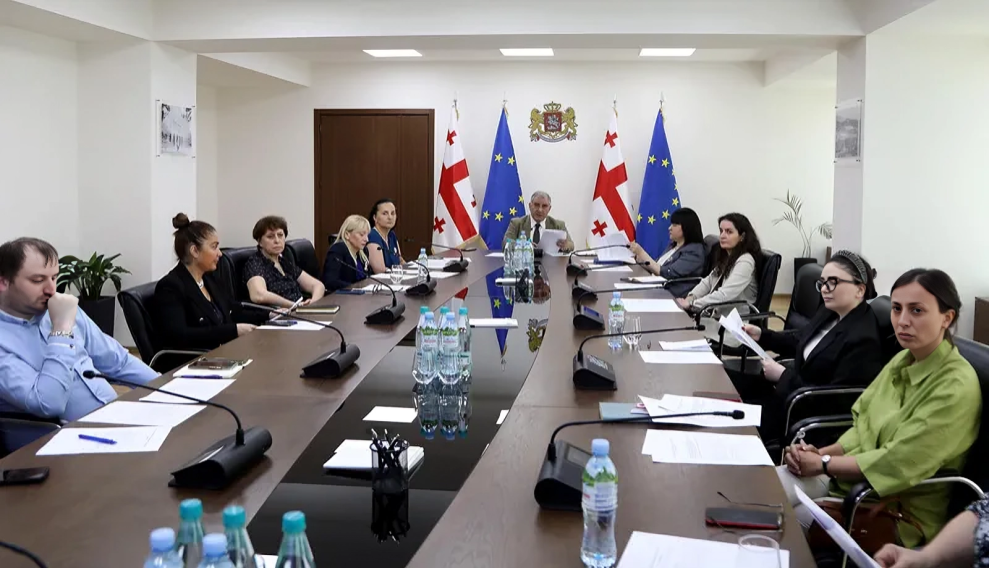 Isabel Mestres: Major milestone achieved through C/Can’s efforts in Georgia