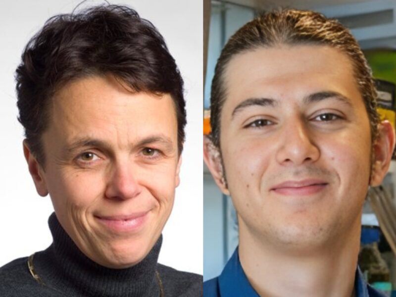 Cathrin Brisken: Carlos Ronchi overcame an important hurdle in breast cancer genomics