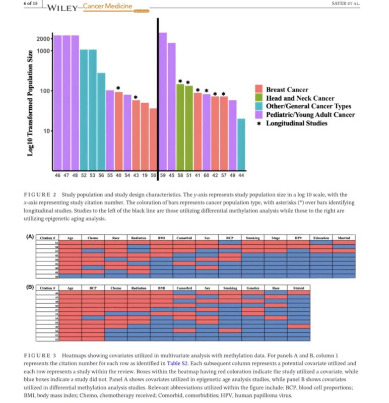 DNA methylation