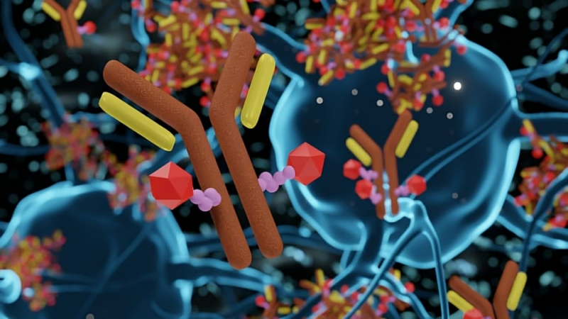 How tumor biology impacts Patritumab deruxtecan’s efficacy in early breast cancer