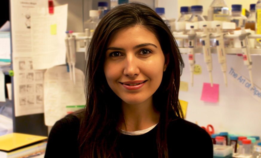 Yeliz Yilmaz: Joining the EACR community was one of the best decisions in my career