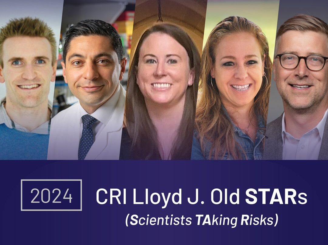 The newest cohort of Lloyd J. Old STARs – Cancer Research Institute