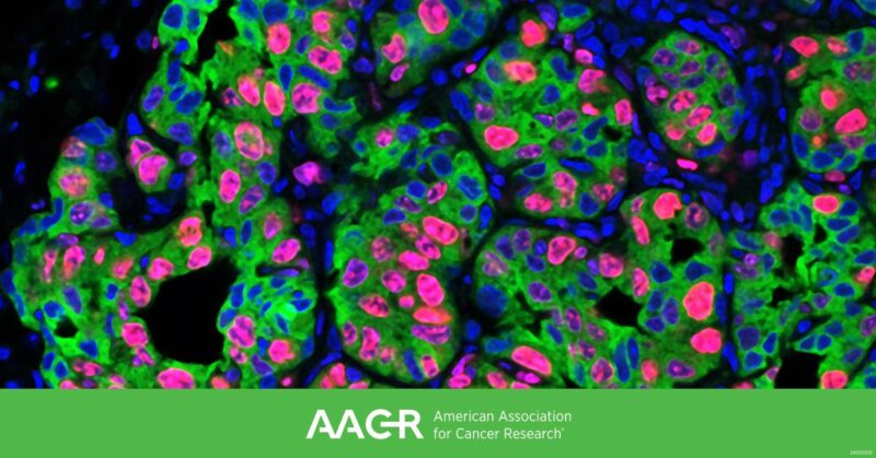 AACR conference on Tumor-body Interactions from November 17th to 19th