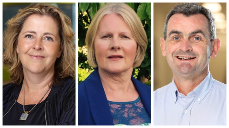 Frances Ní Fhlannchadha: First time in Ireland a piece of research has been developed by patients for patients