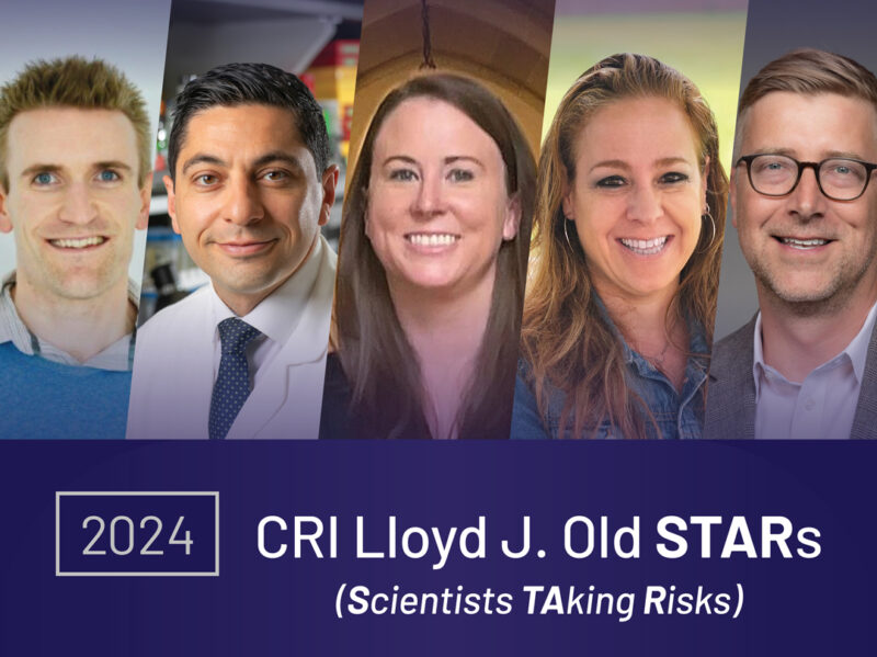 CRI shares the new cohort of Lloyd Old STARs