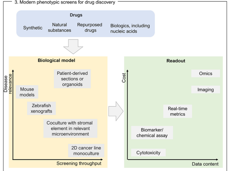 Phenotype- AND