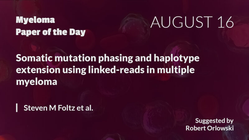 Myeloma Paper of the Day, August 16th, suggested by Robert Orlowski
