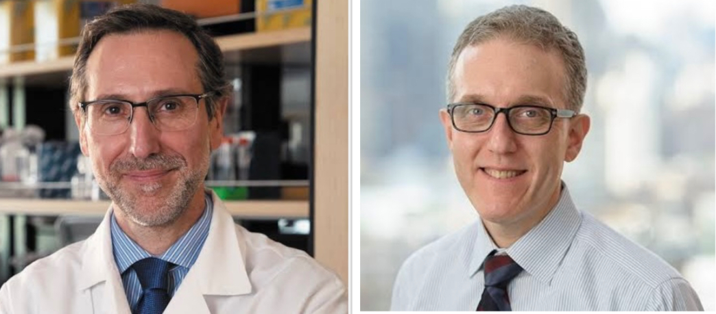 Antoni Ribas and Jedd Wolchok selected as 2024 Fellows of the Academy of Immuno-Oncology