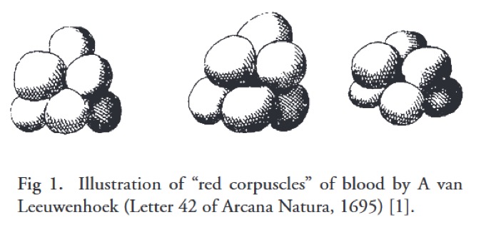 history of blood 