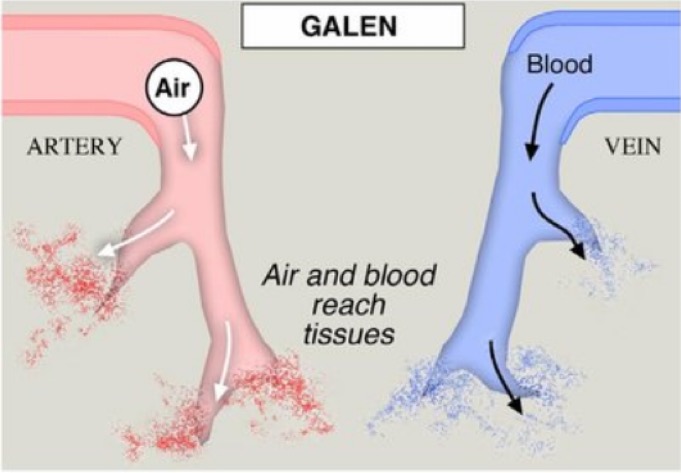 history of blood 