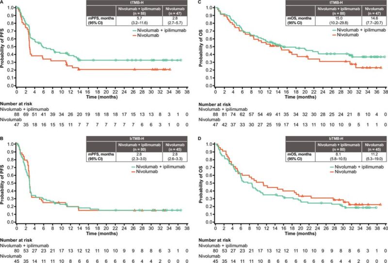 Journal for ImmunoTherapy of Cancer