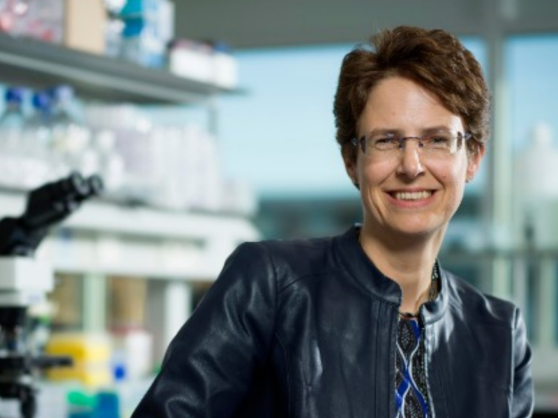 Karin de Visser: How breast tumors hijack myelopoiesis to promote metastasis