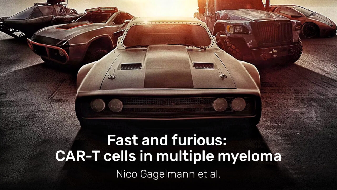 Nico Gagelmann: Fast and furious: CAR-T cells in multiple myeloma