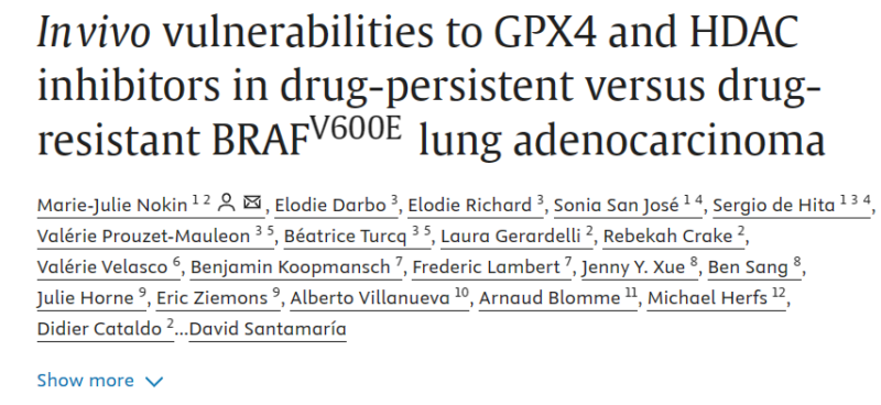 Biagio Ricciuti: Vulnerabilities to GPX4 and HDAC inhibitors in BRAF V600E lung adenocarcinoma