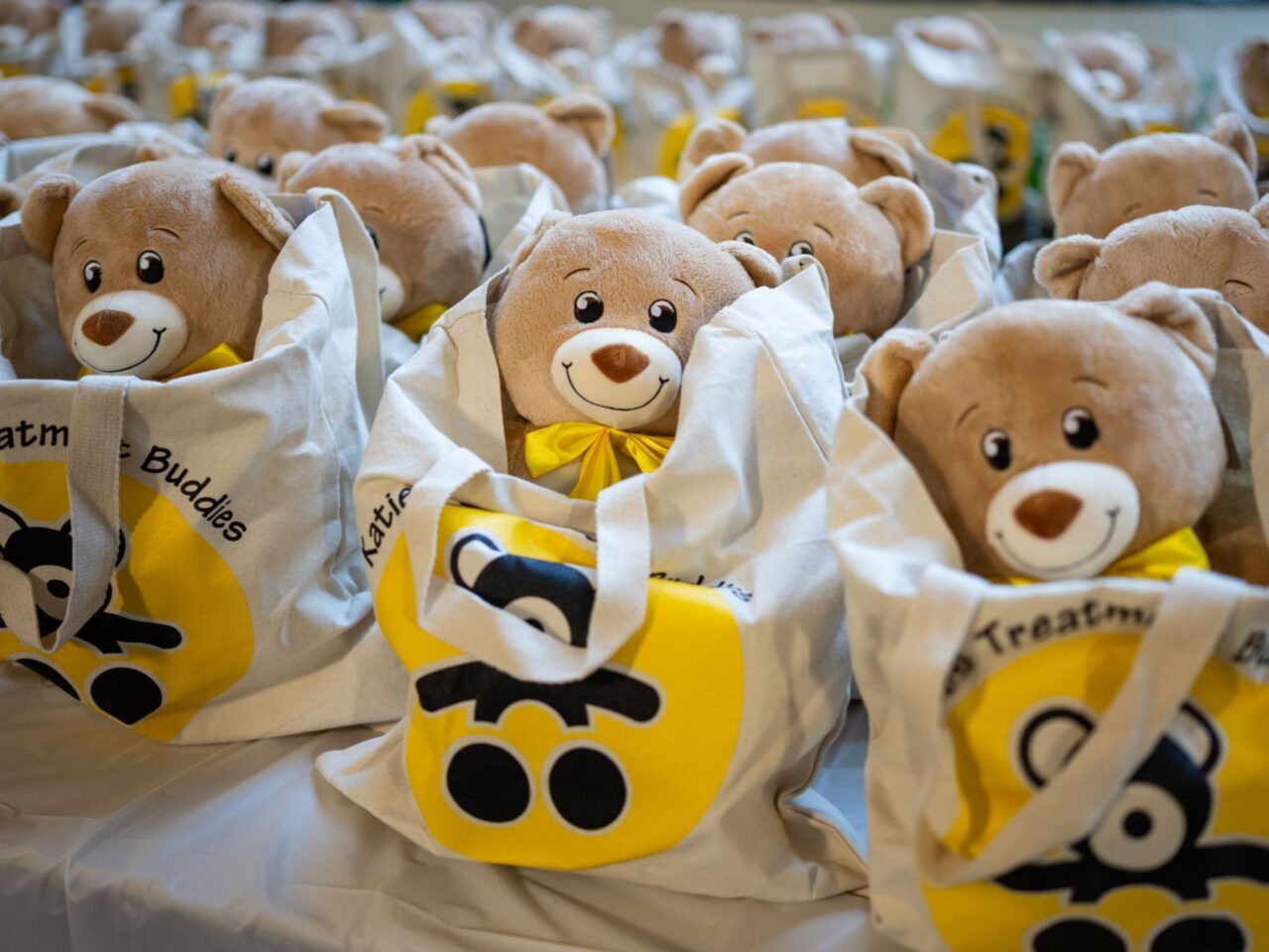 Annual Teddy Bear Clinic of the Children’s Cancer Hospital at MD Anderson Cancer Center