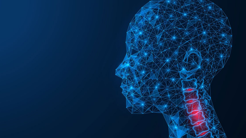 PROTAC Targeting LZK Shows Promise for Treating HNSCC – NCI Center for Cancer Research