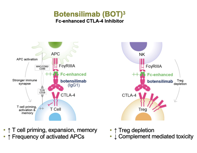 Botensilimab